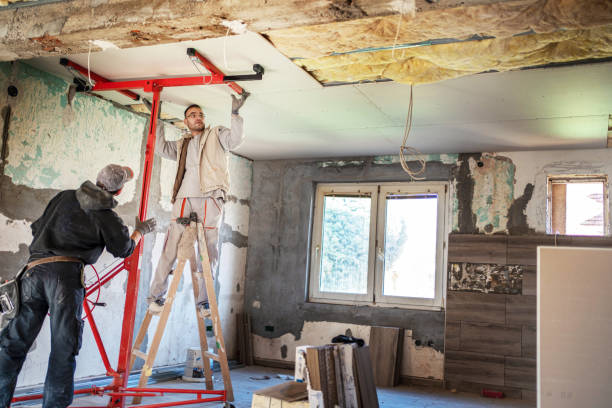 Best Insulation Maintenance and Repair in Madison, SD